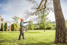 Best Commercial Tree Services  in Mauston, WI