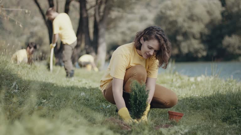 Lawn Drainage Solutions in Mauston, WI