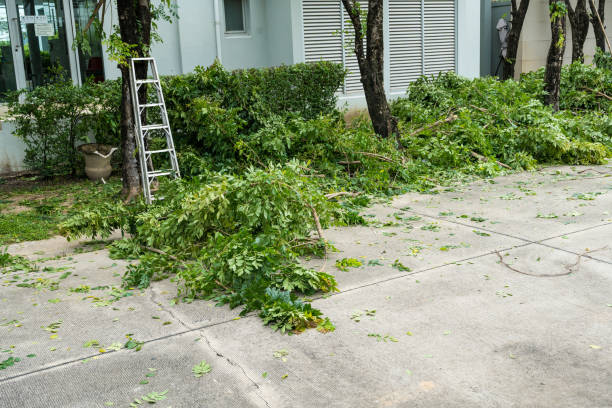 Best Emergency Tree Removal  in Mauston, WI
