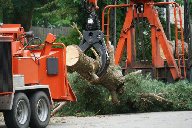 Best Organic Lawn Care Solutions  in Mauston, WI